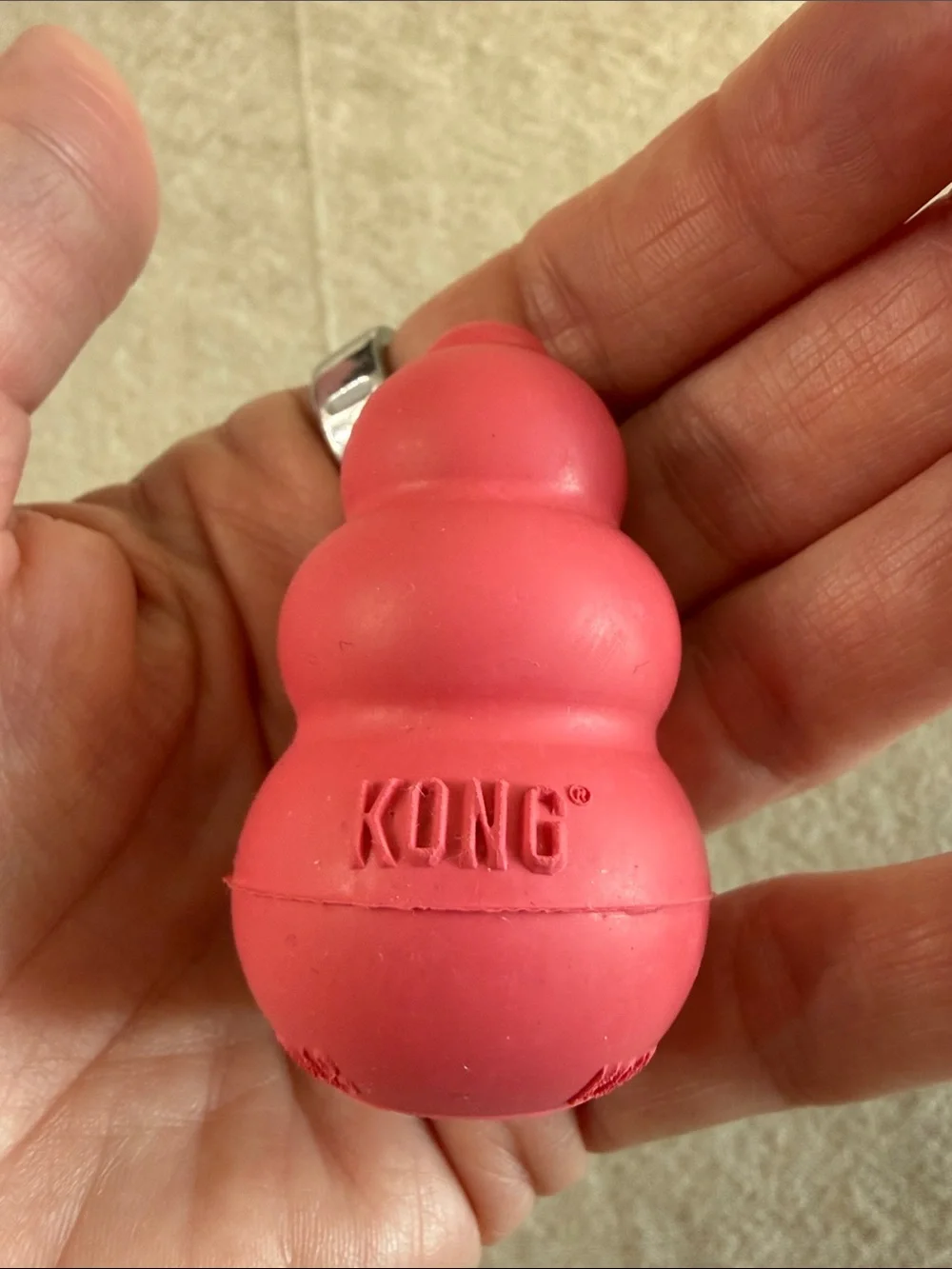 Floral Puppy Collar XS & Pink KONG Puppy Toy Bundle